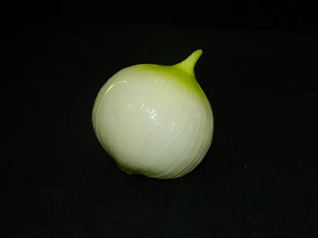 White Onion