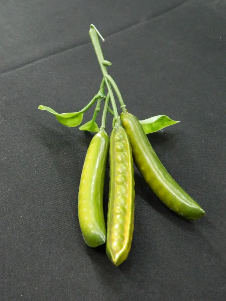 Pea Pod Stem