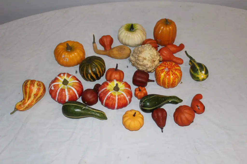 Gourds / Pumpkins