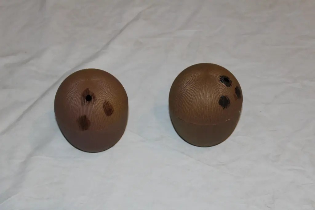 Plastic Coconuts