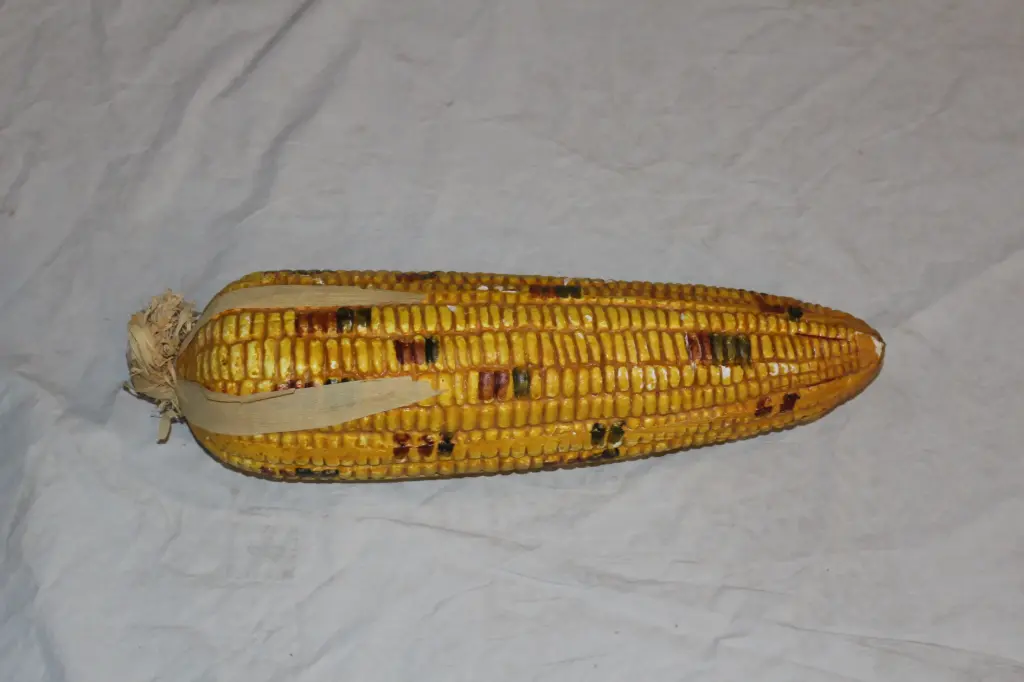 Giant Corn Cob