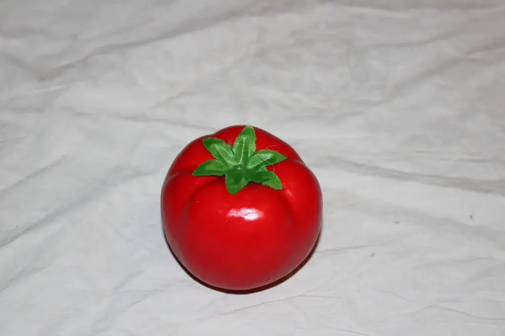 Tomato