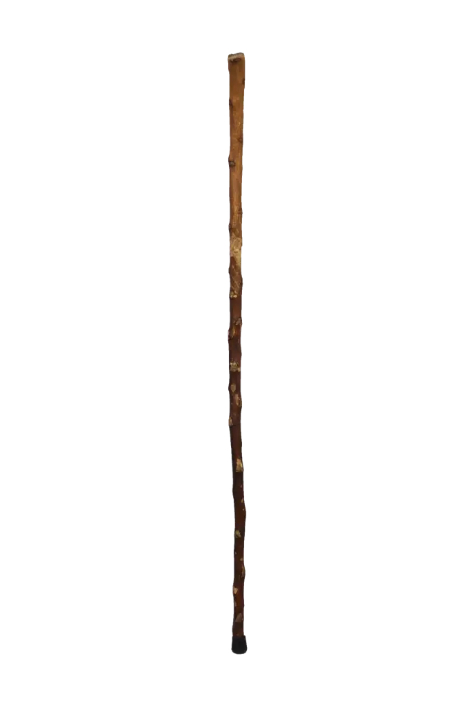 Walking Stick