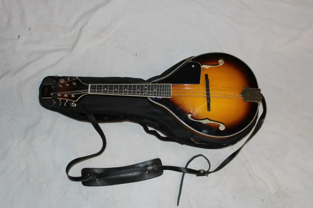 Mandolin and Case