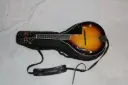 Mandolin and Case