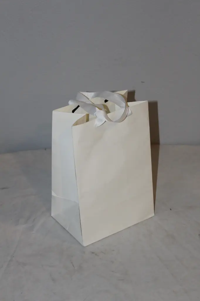 White Gift Bag