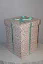 Giant Gift Box