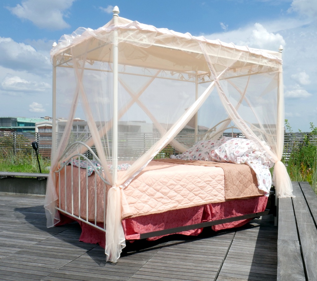 Bed Canopy