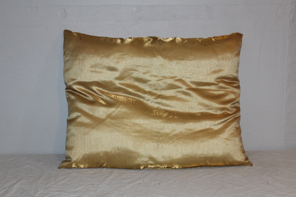Gold Pillow