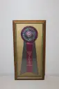 Framed Award Ribbon