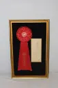 Framed Award Ribbon