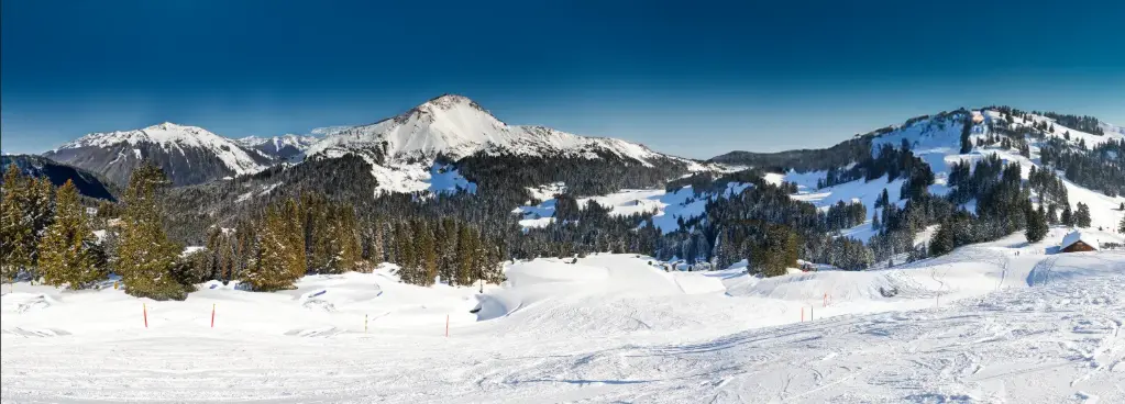 Snowy Ski Mountain Backdrop - Right