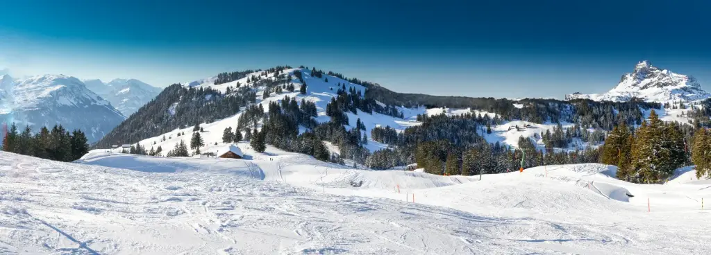 Snowy Ski Mountain Backdrop - Left