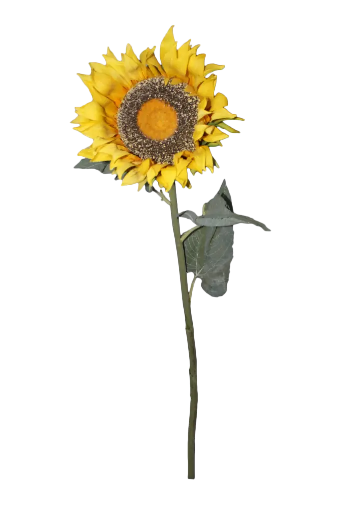Sunflower - 3.5'