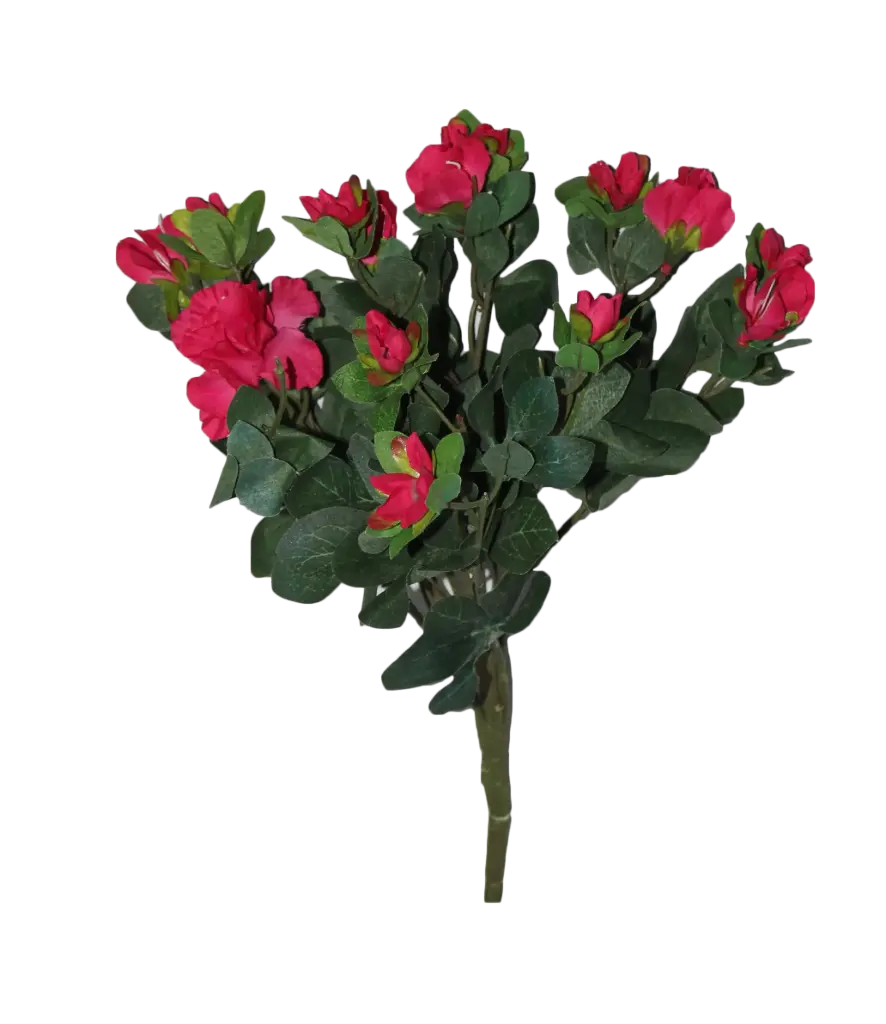 Pink Rose Bundle