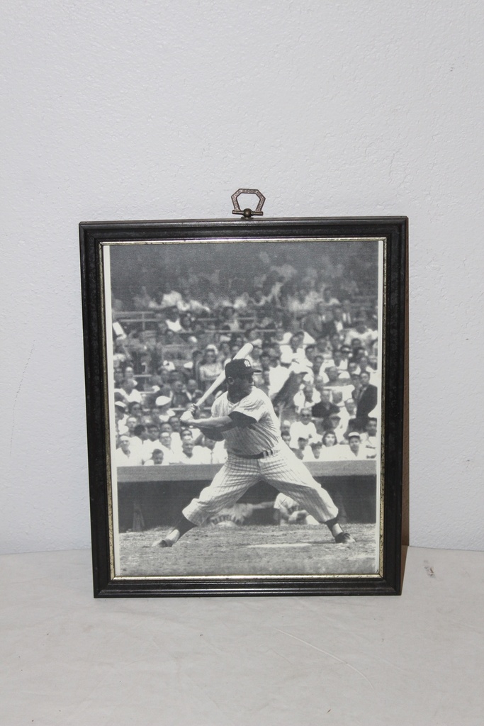 Framed Baseball Photo