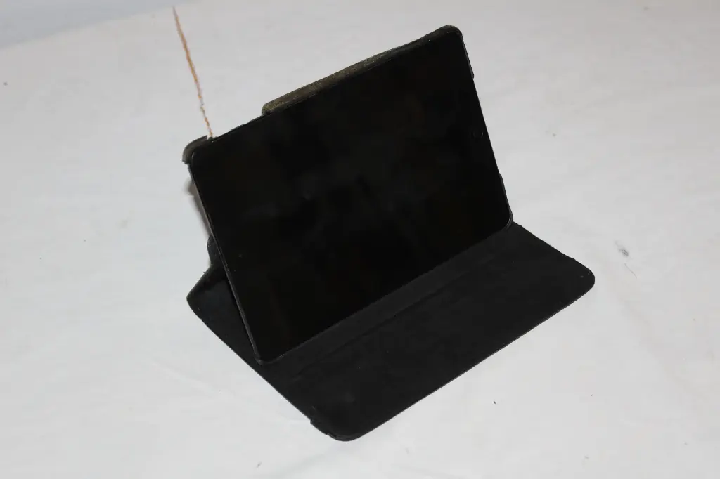 iPad
