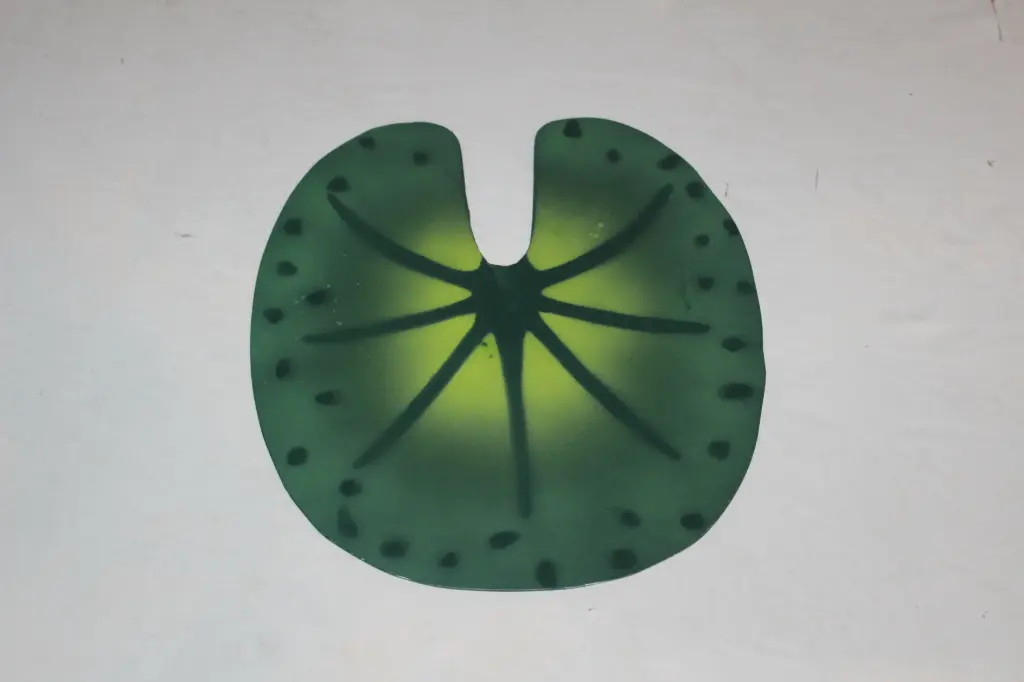 Lily Pads
