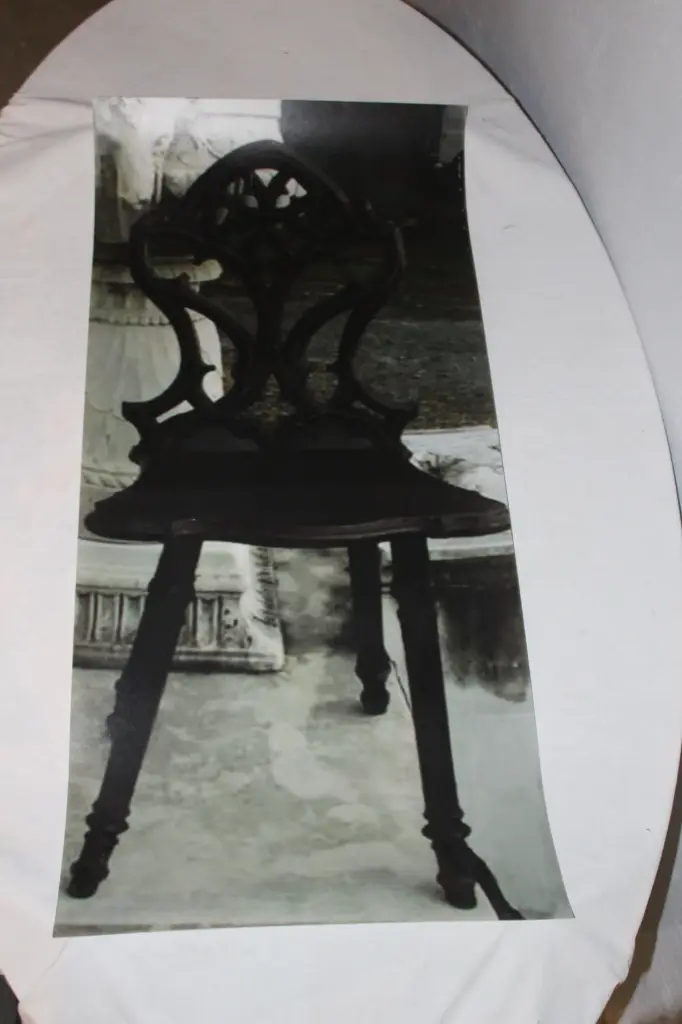Printed Acrylic Photo