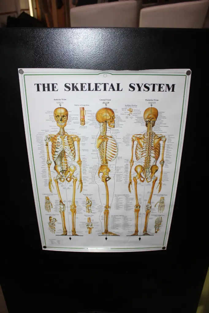 Medical Poster