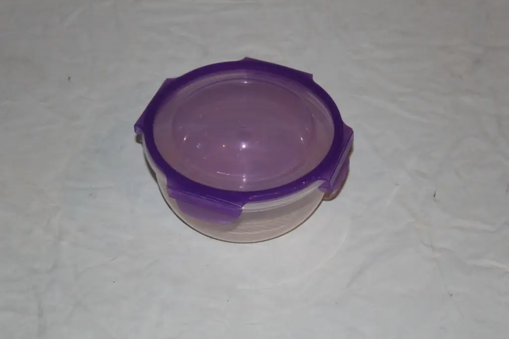Food Container