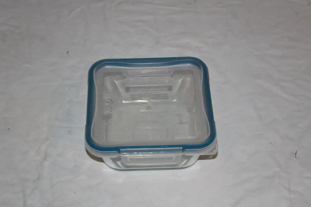 Pyrex Food Container