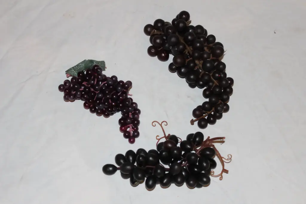 Purple Grapes