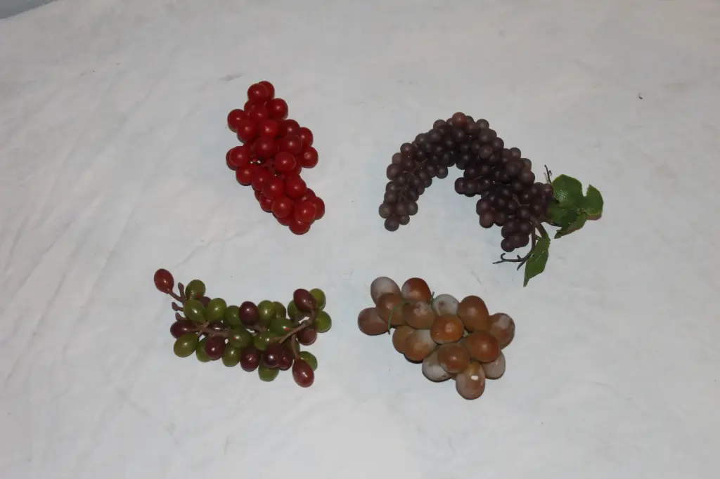 Multicolor Grapes