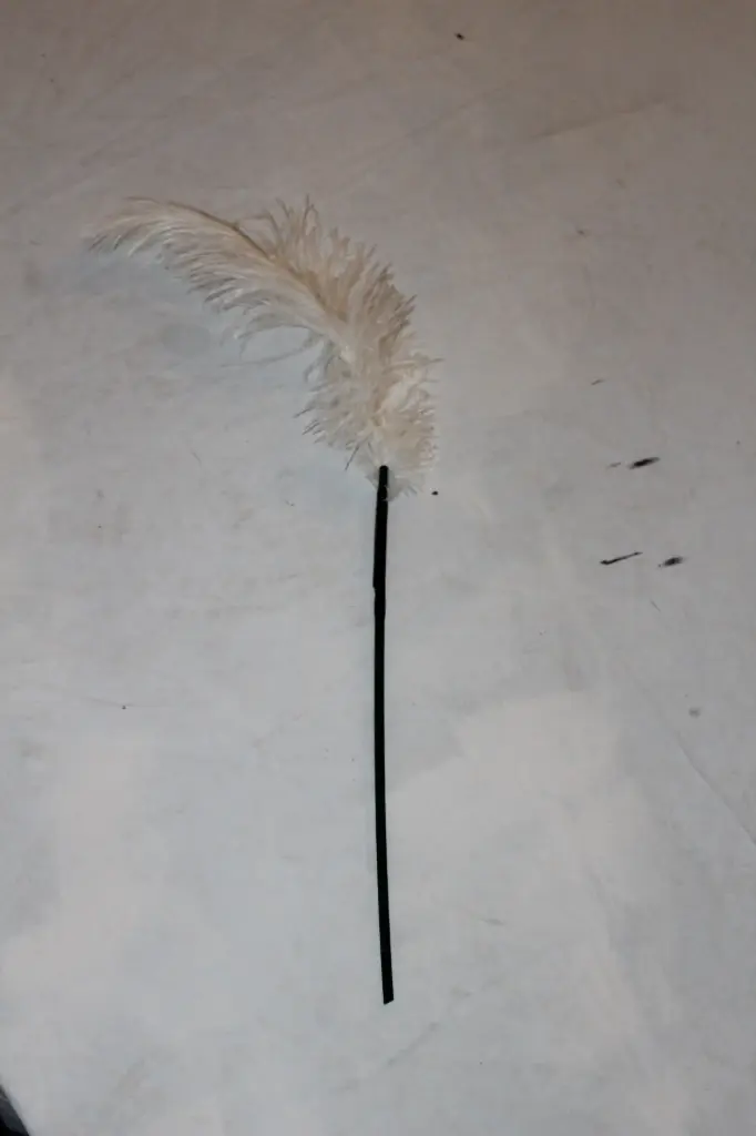 Feather Quill