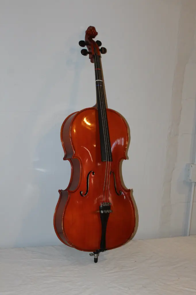 Cello & Case