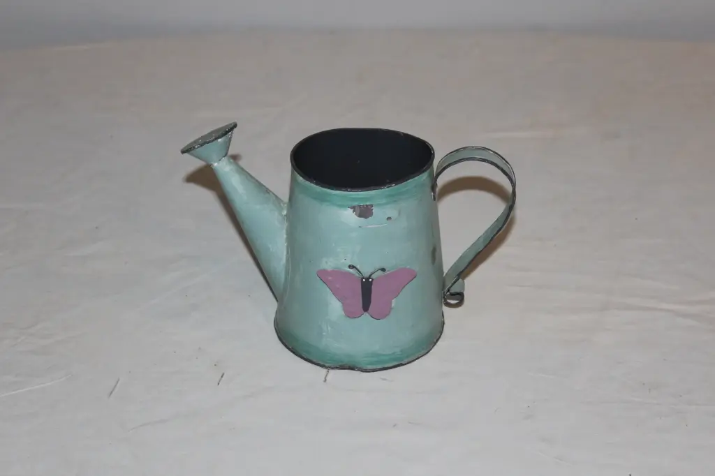 Watering Can