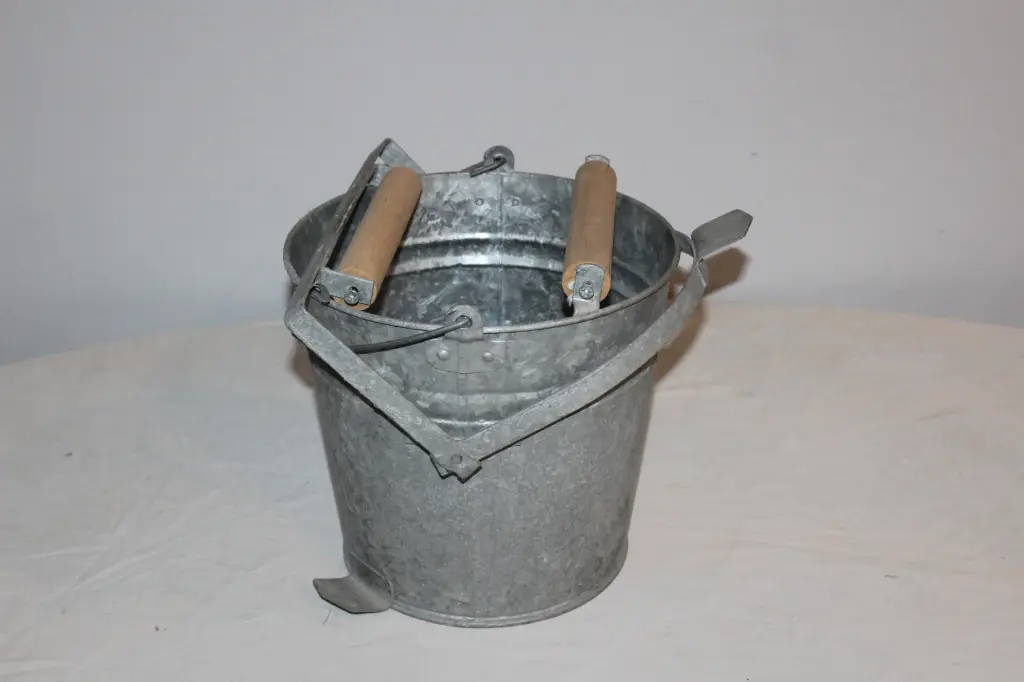 Mop Pail