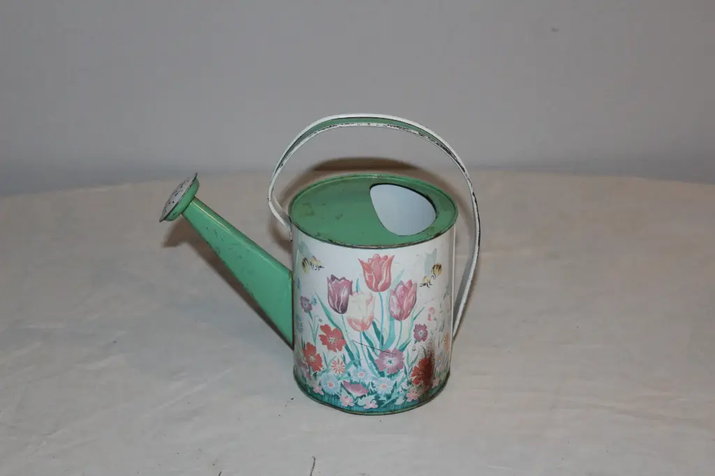 Watering Can