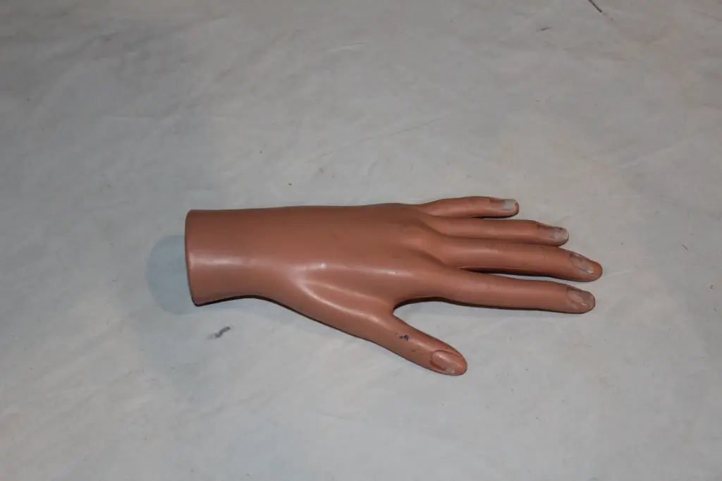 Human Hand - Hollow
