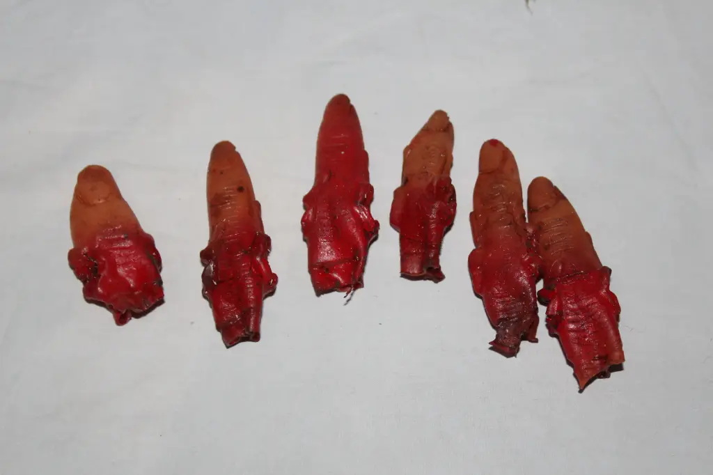 Severed Fingers