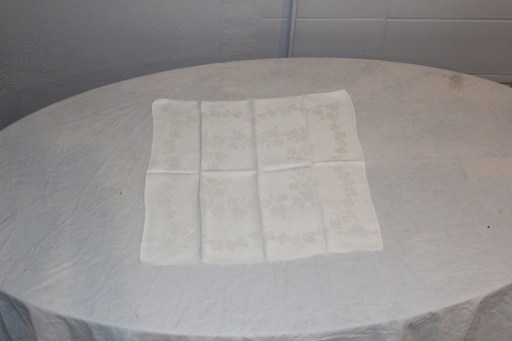 [PBN-030] Napkin