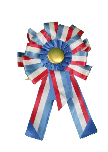 [PDA-014] Award Ribbon