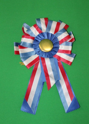 [PDA-014] Award Ribbon