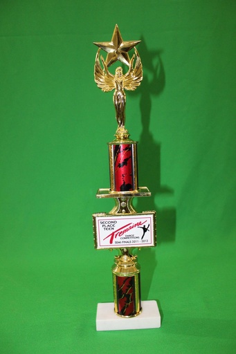 [PDA-027] Trophy