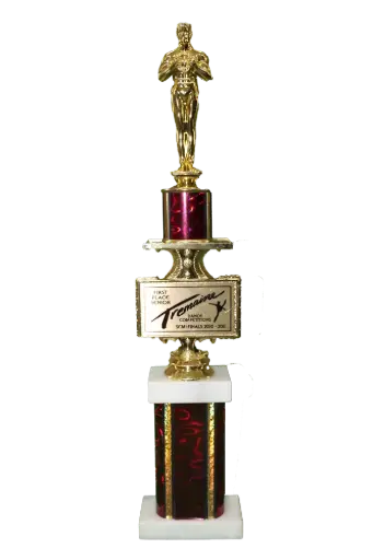 [PDA-036] Trophy