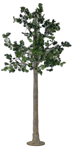 [PDF-010] Steel Trees
