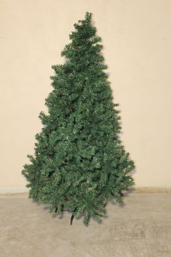 [PDF-015] Evergreen - 5'