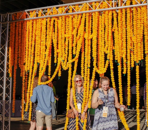 [PDF-021] Marigolds
