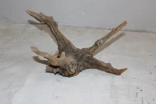 [PDF-022] Driftwood #1
