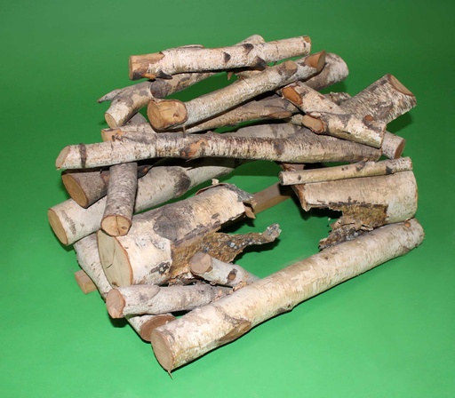 [PDH-004] Fire Logs
