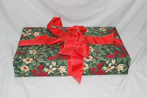 [PMG-036] Christmas Present