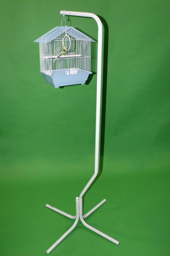 [PDS-017] Bird Cage