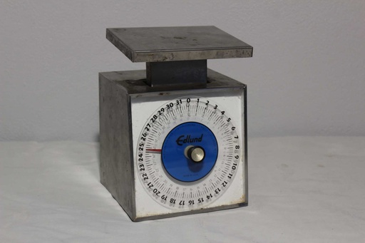 [PKA-023] Scale