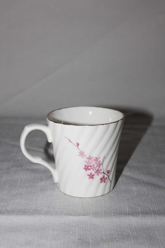 [PKD-018] China Mug