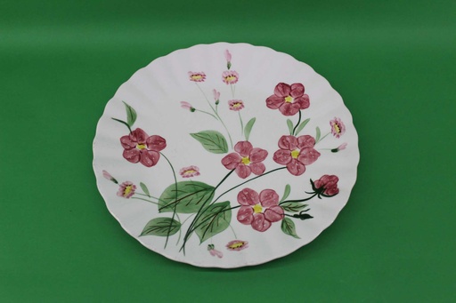 [PKE-001] Dinner Plate